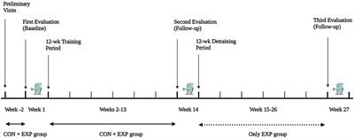 Effects of Combined Endurance and Resistance Training in Women With Multiple Sclerosis: A Randomized Controlled Study